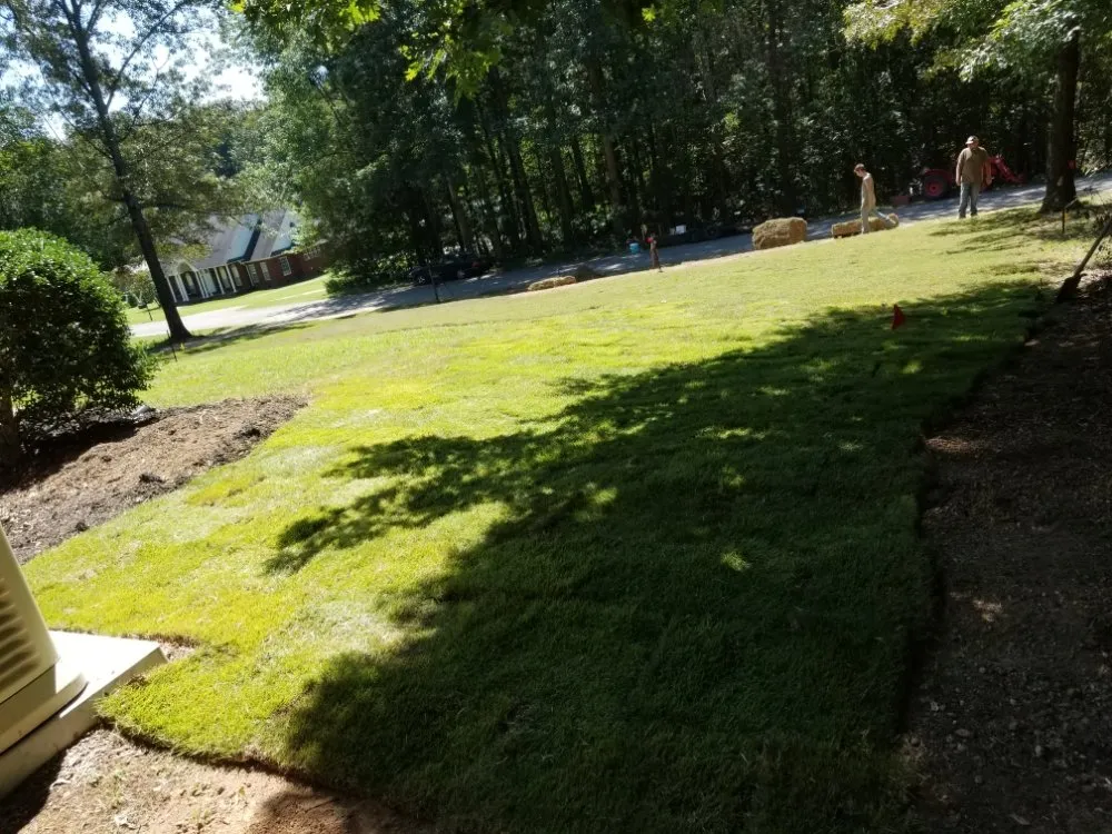 Top-rated yard maintenance with custom design across Bethel Springs, TN - MP Demolition and Landscaping