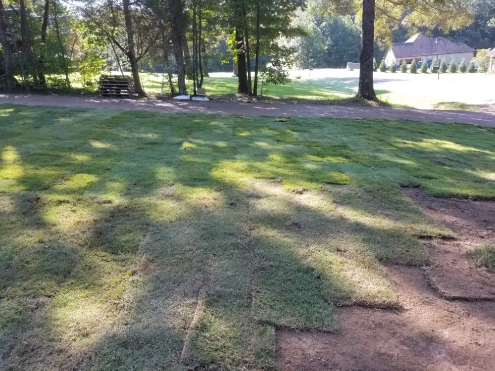 Local landscape installation in Bethel Springs, TN by MP Demolition and Landscaping