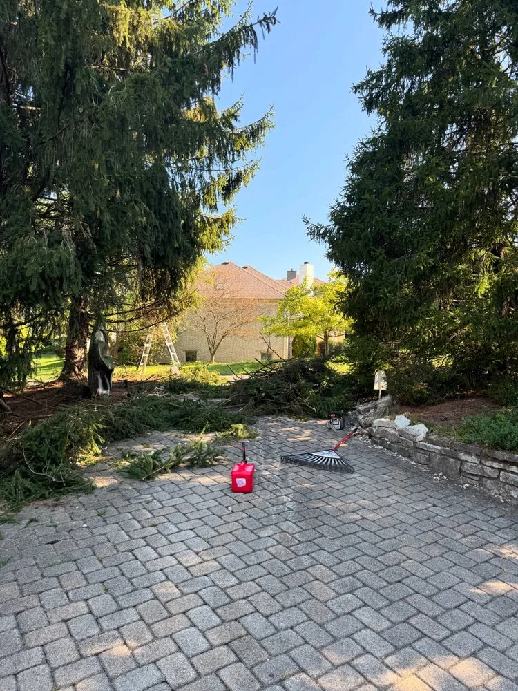 Reliable yard maintenance for beautiful yards in Cleves, OH by MP Exterior Pros