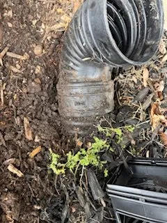 Custom landscape installation for homes across Burlington, WI - M&P Finish Grading