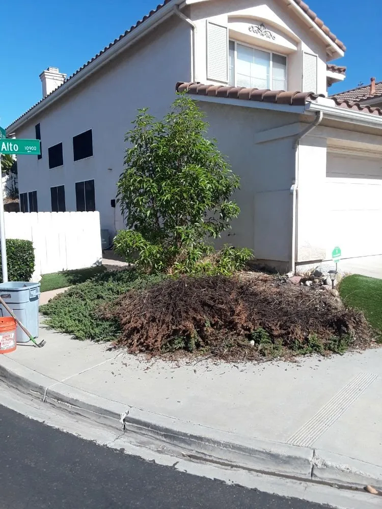 Expert residential landscaping in Poway, CA - MP Grounds