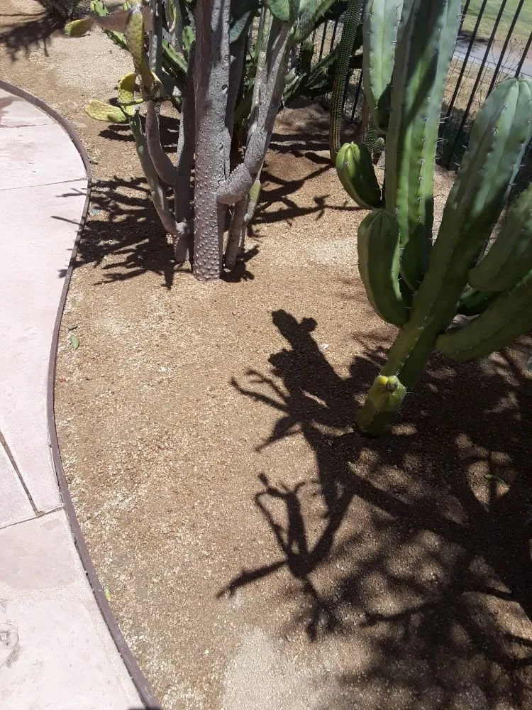 Local garden landscaping in Poway, CA by MP Grounds