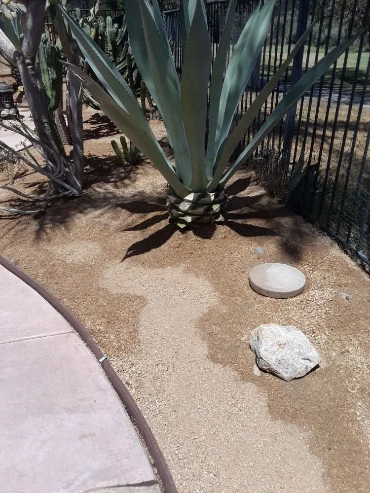 Reliable garden landscaping in Poway, CA - MP Grounds