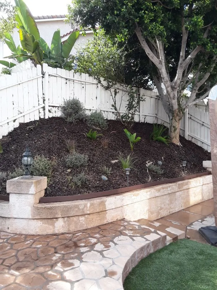 Local yard maintenance experts serving Poway, CA - MP Grounds