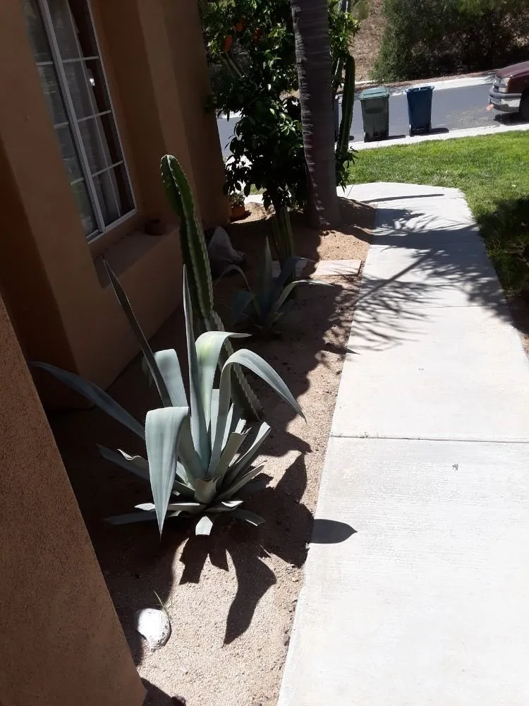 Trusted yard maintenance experts serving Poway, CA - MP Grounds