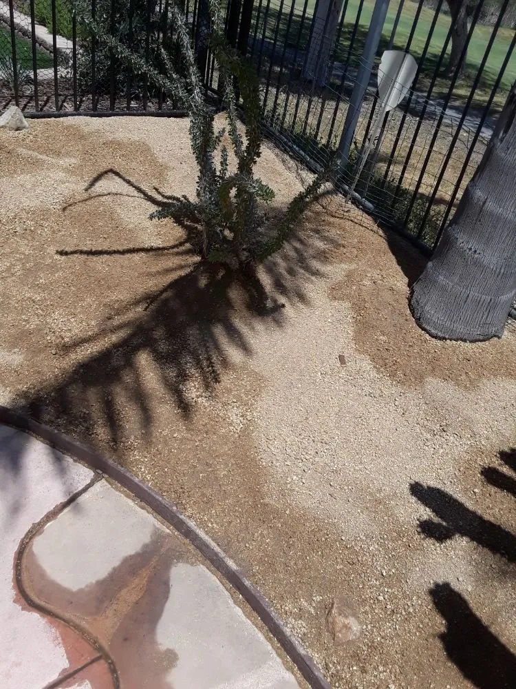 Affordable garden landscaping in Poway, CA - MP Grounds