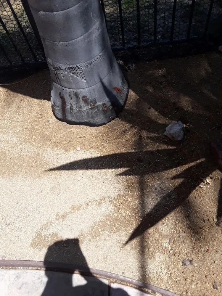 Custom garden landscaping for beautiful yards in Poway, CA by MP Grounds