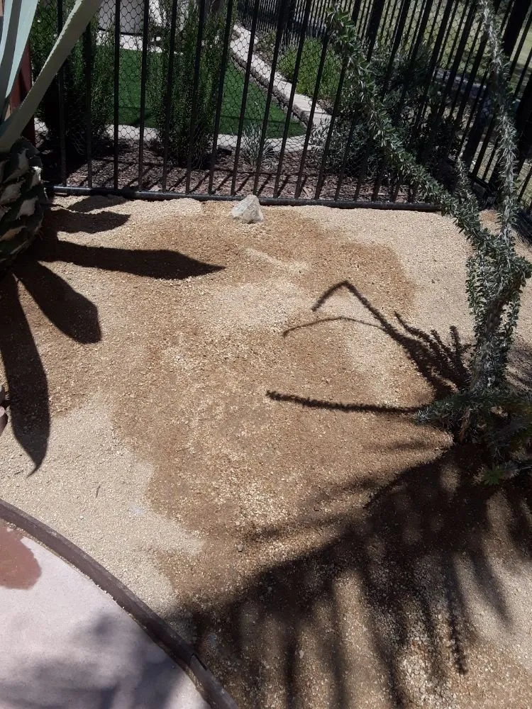 Top-rated lawn mowing service experts serving Poway, CA - MP Grounds