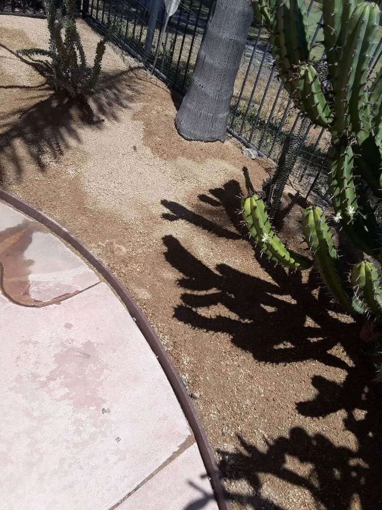 Top-rated yard maintenance in Poway, CA by MP Grounds