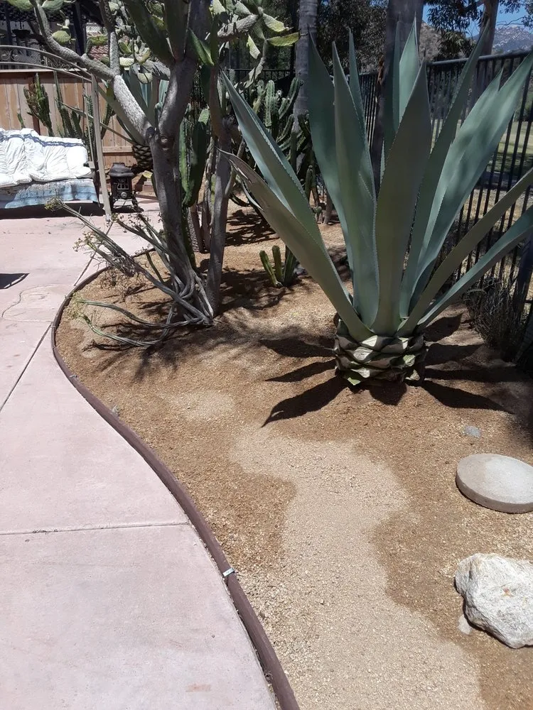 Trusted yard cleanup service experts serving Poway, CA - MP Grounds