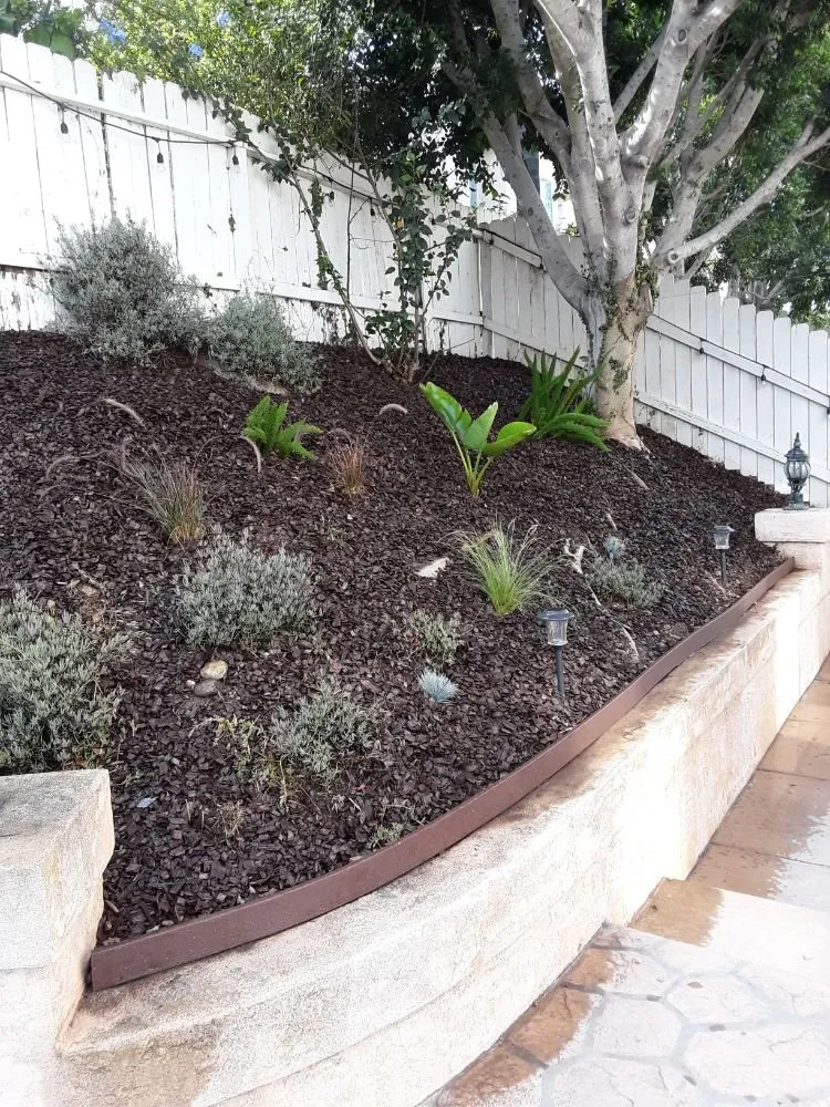 Custom lawn care service in Poway, CA - MP Grounds