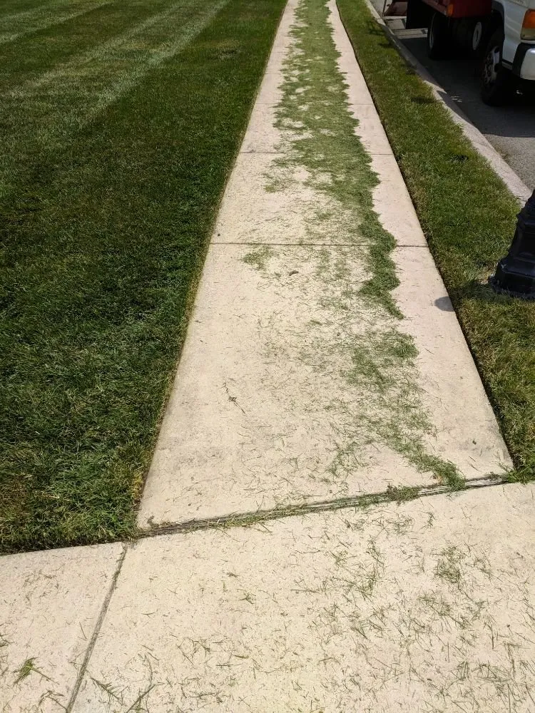 Trusted landscape design in Ringgold, GA by MP Landscape Management