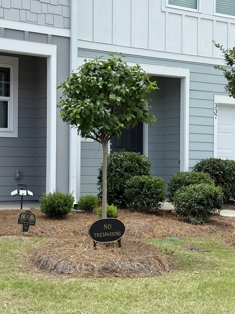 Custom lawn mowing service for beautiful yards in Adairsville, GA by M&P Landscaping