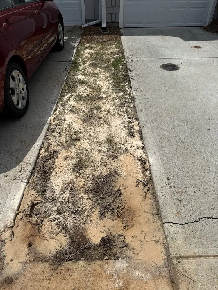 Professional landscaping services for outdoor upgrades across Adairsville, GA - M&P Landscaping