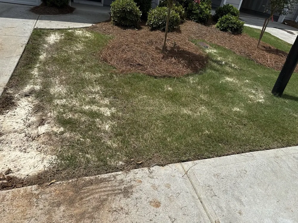 Top-rated landscape installation in Adairsville, GA - M&P Landscaping
