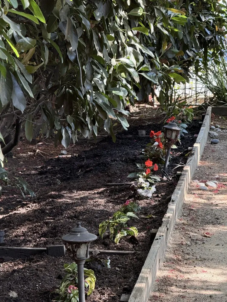 Affordable landscape installation with custom design in Santa Clarita, CA by MP Landscapings