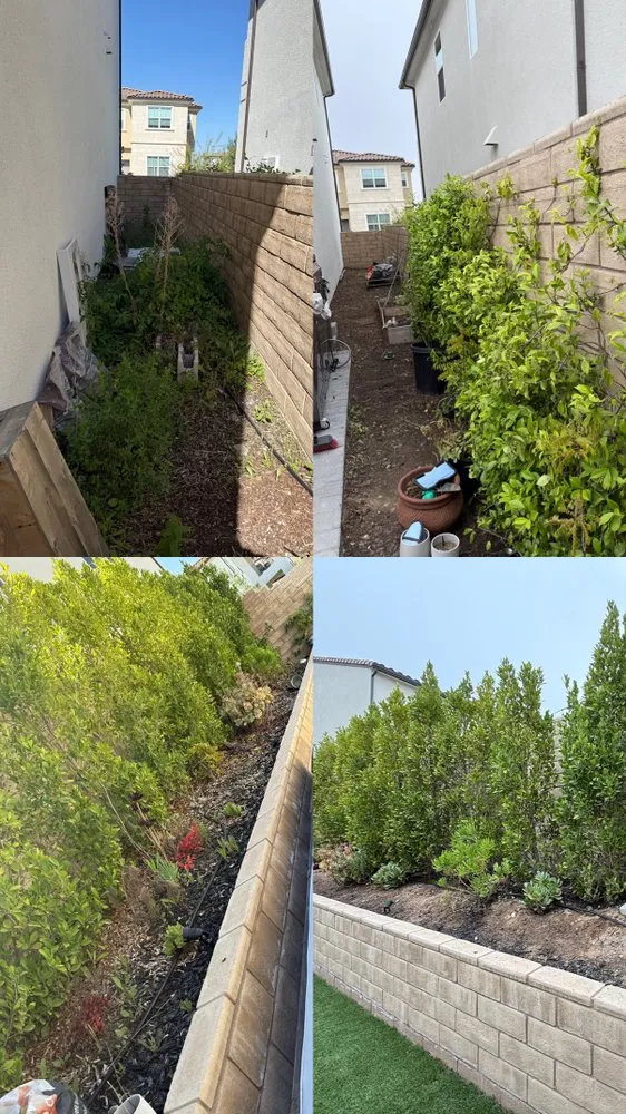 Local landscape installation in Santa Clarita, CA - MP Landscapings