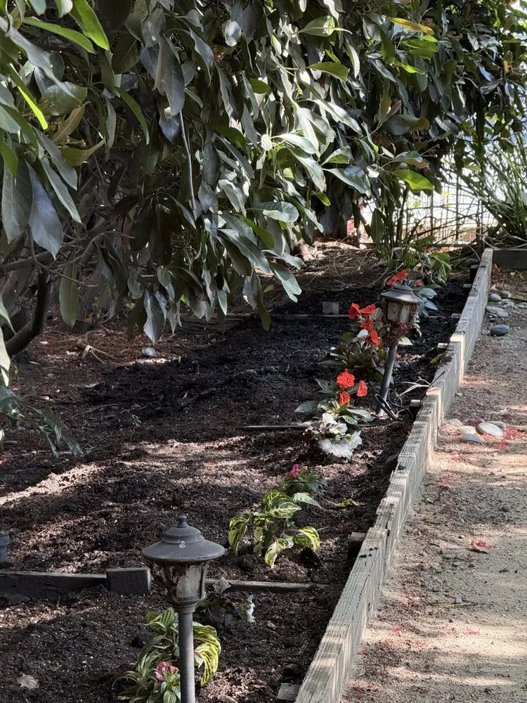 Affordable garden landscaping with custom design in Santa Clarita, CA by MP Landscapings