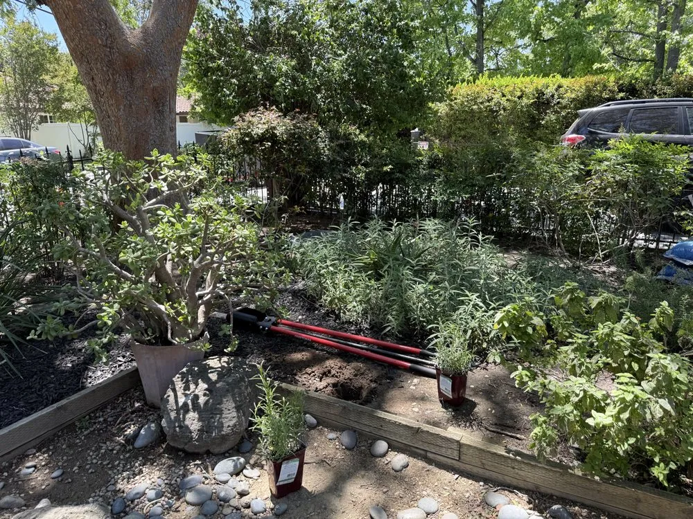 Reliable lawn mowing service experts serving Santa Clarita, CA - MP Landscapings