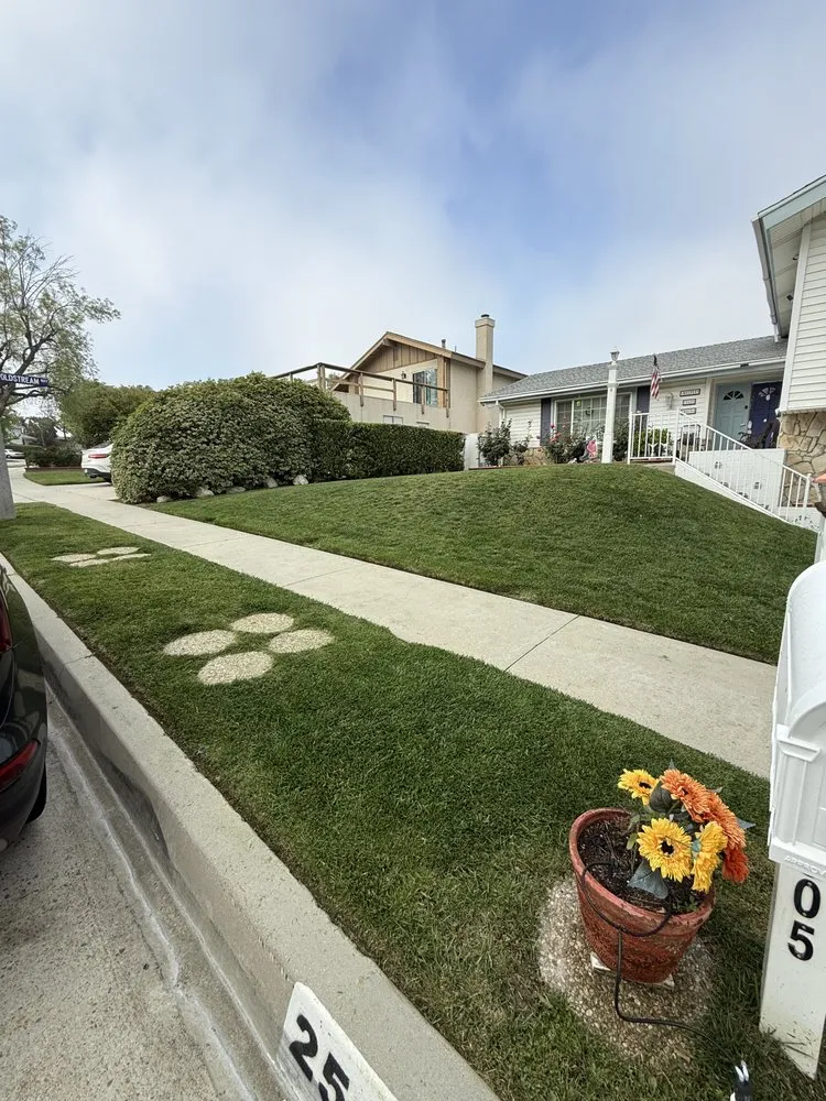 Reliable yard maintenance for residential properties across Santa Clarita, CA - MP Landscapings