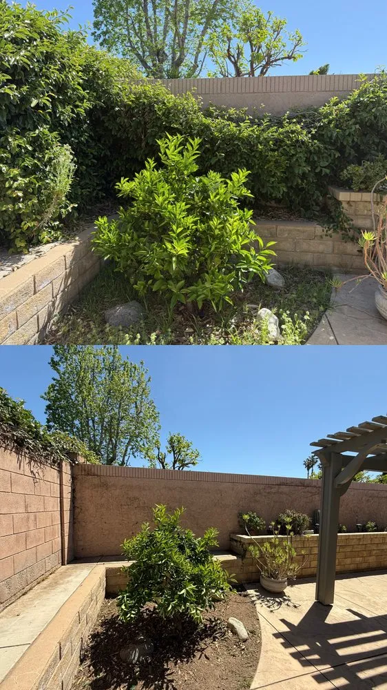 Local residential landscaping in Santa Clarita, CA by MP Landscapings