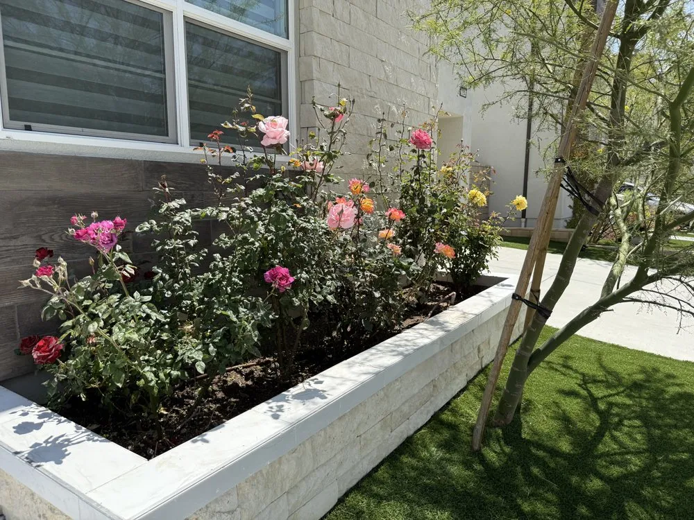 Affordable outdoor landscaping near you in Santa Clarita, CA by MP Landscapings