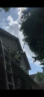 MP Landscaping&Tree service Logo