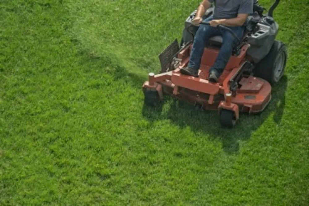 Professional landscape installation in Covington, KY by MP Lawn Care