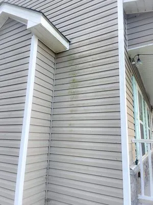 MP Lawn Maintenance And Pressure Washing