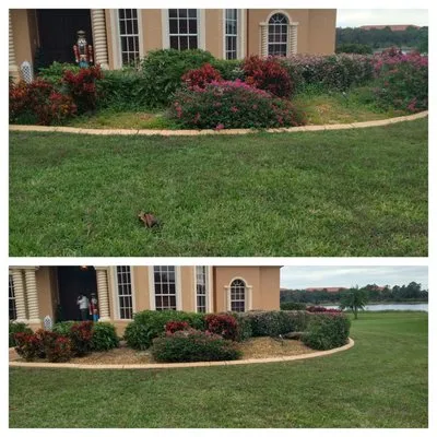 MP Lawn Maintenance Logo