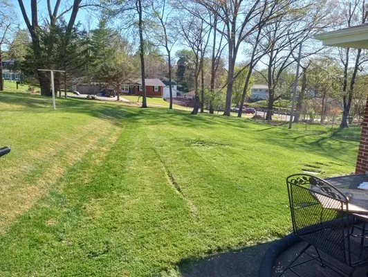 MP Mowing Lawncare Logo