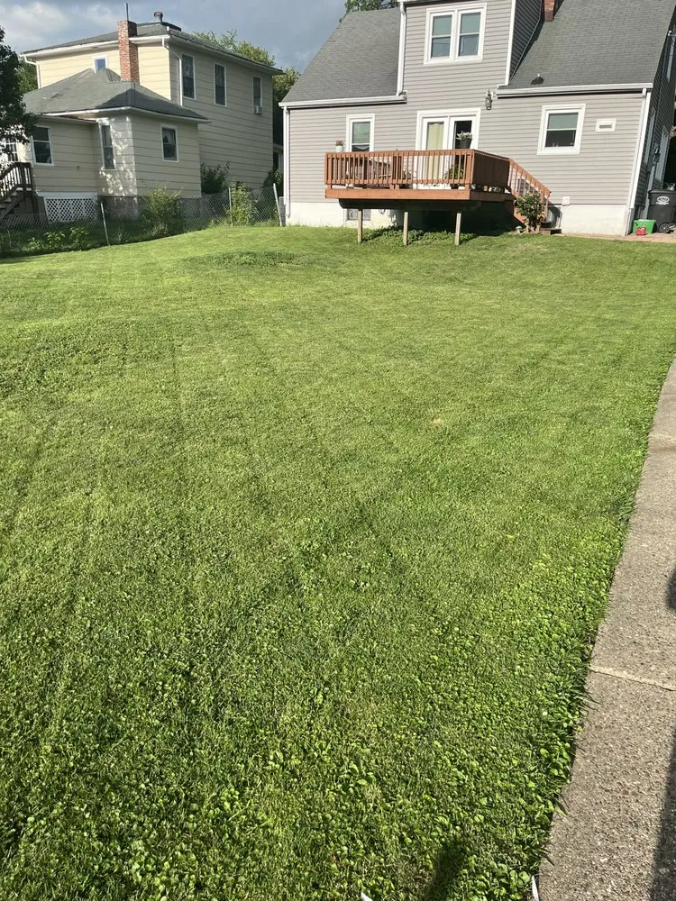 Professional garden landscaping for outdoor upgrades across Mount Pleasant, IA - Mp Mowing