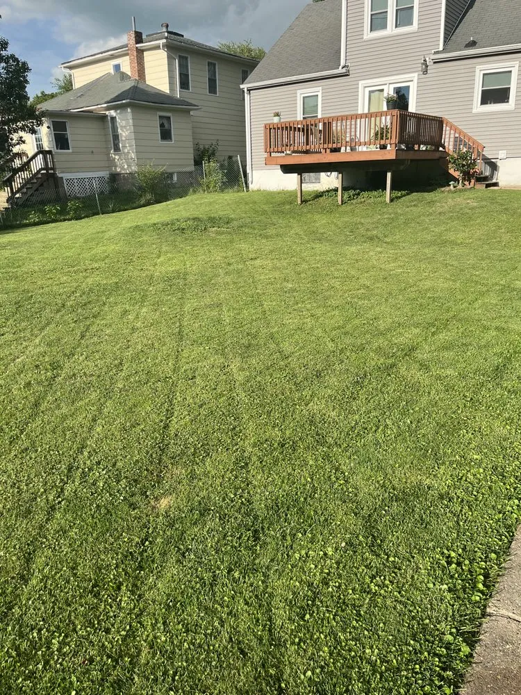Affordable lawn mowing service for homes in Mount Pleasant, IA by Mp Mowing