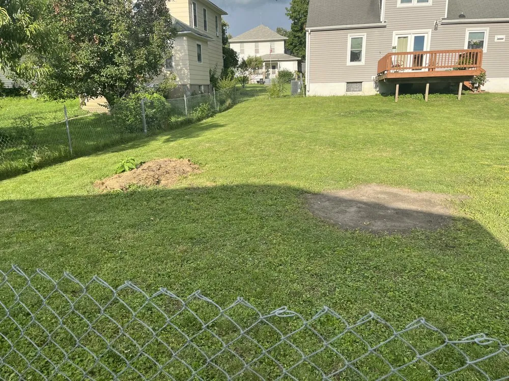 Trusted landscape design near you across Mount Pleasant, IA - Mp Mowing