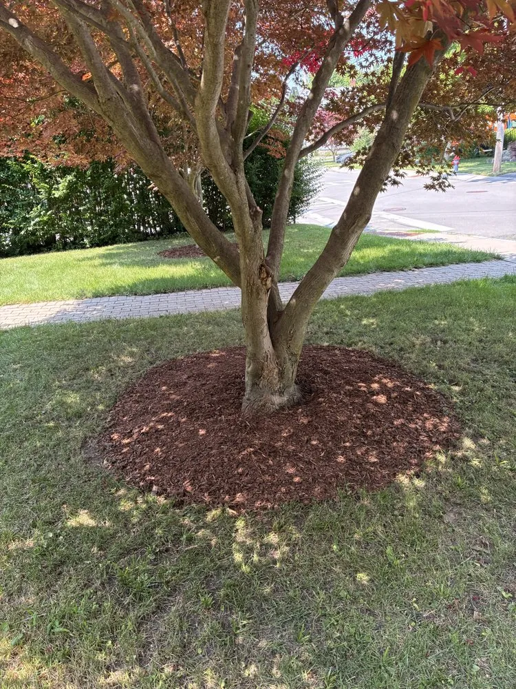 Reliable landscape design for residential properties in Victor, NY by MP Property Solutions