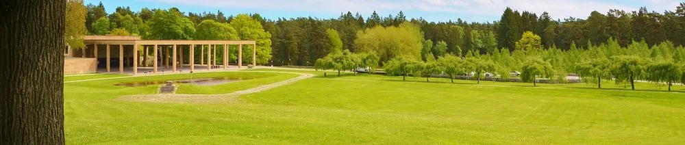 Top-rated yard cleanup service in Chicago, IL - MPB Landscape