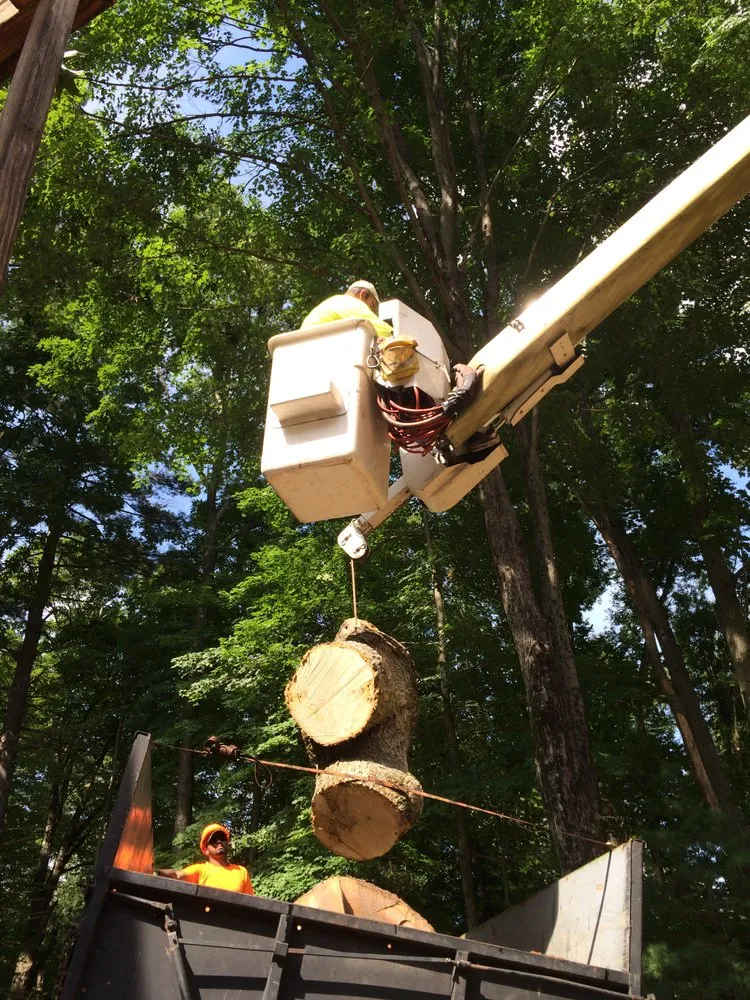 Affordable landscaping services in Hartford, CT by MPB Services