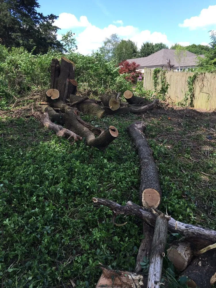 Professional lawn mowing service experts serving Hartford, CT - MPB Services