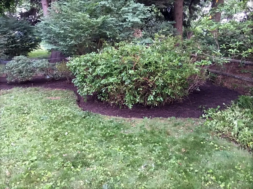Local yard cleanup service in Hartford, CT - MPB Services