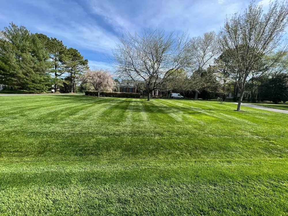 Trusted garden landscaping in Easton, MD - MPD Landscaping And Lawn Mowing