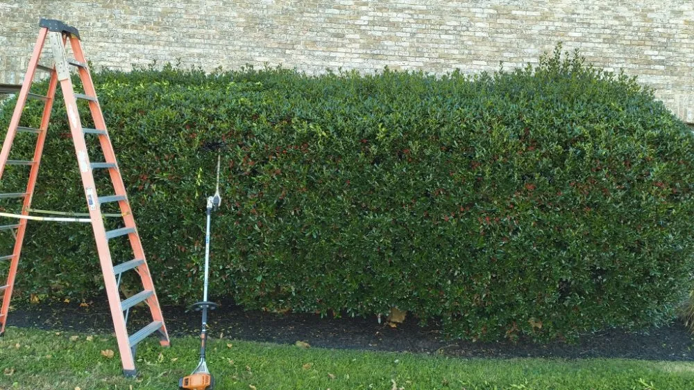 Trusted yard maintenance experts serving Easton, MD - MPD Landscaping And Lawn Mowing