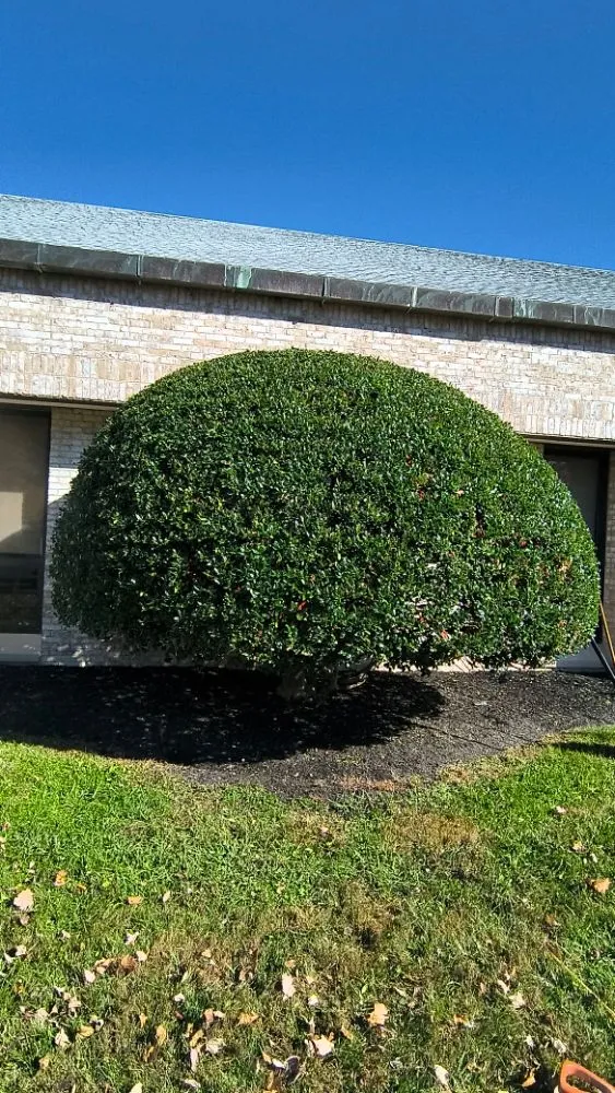 Affordable landscape design in Easton, MD - MPD Landscaping And Lawn Mowing