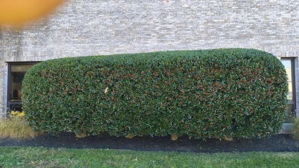 Affordable outdoor landscaping with custom design across Easton, MD - MPD Landscaping And Lawn Mowing