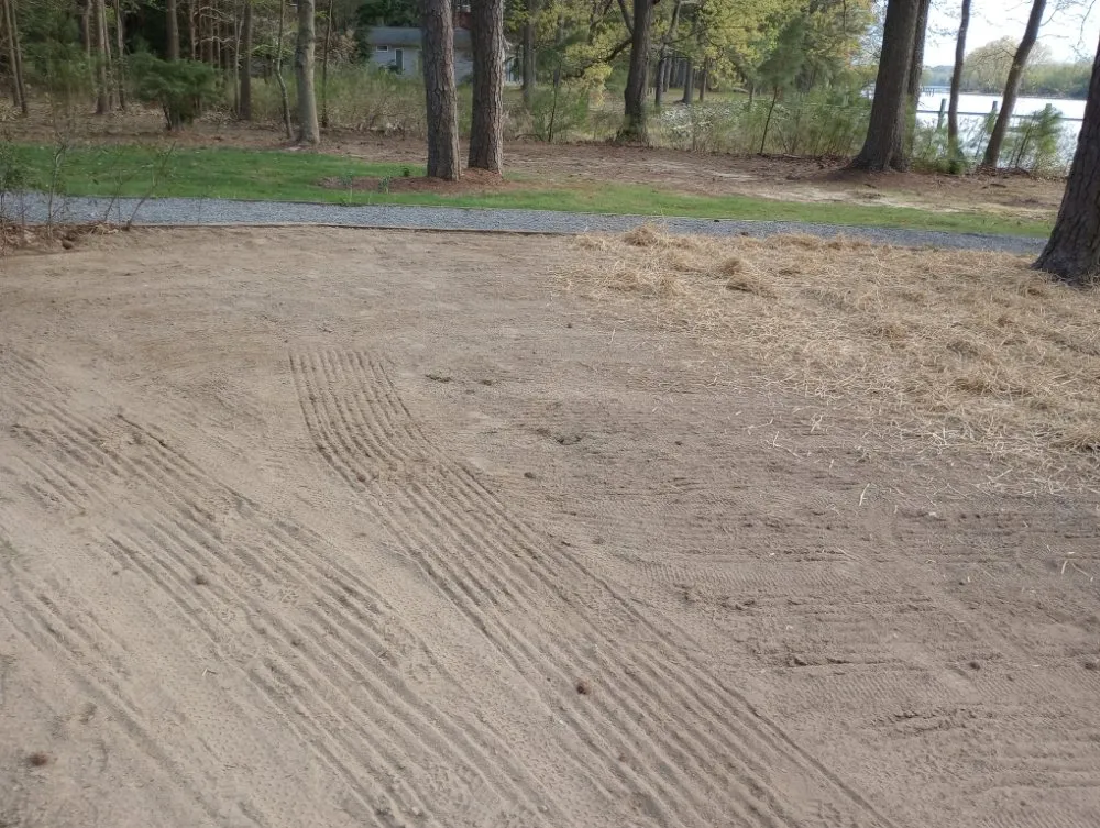 Affordable lawn mowing service for year-round maintenance across Easton, MD - MPD Landscaping And Lawn Mowing