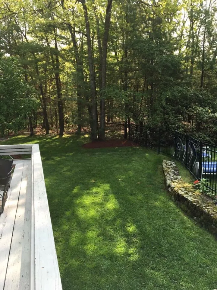 Trusted landscaping services in Hudson, MA - MPM Landscape