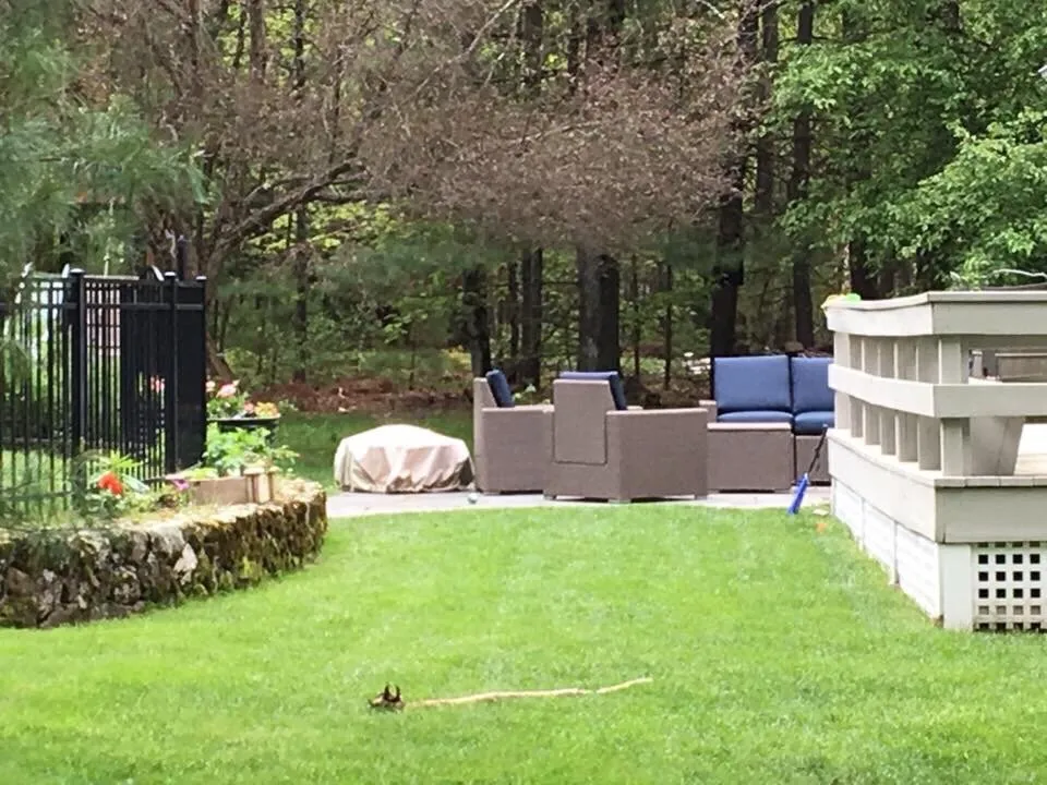 Top-rated garden landscaping for outdoor upgrades across Hudson, MA - MPM Landscape