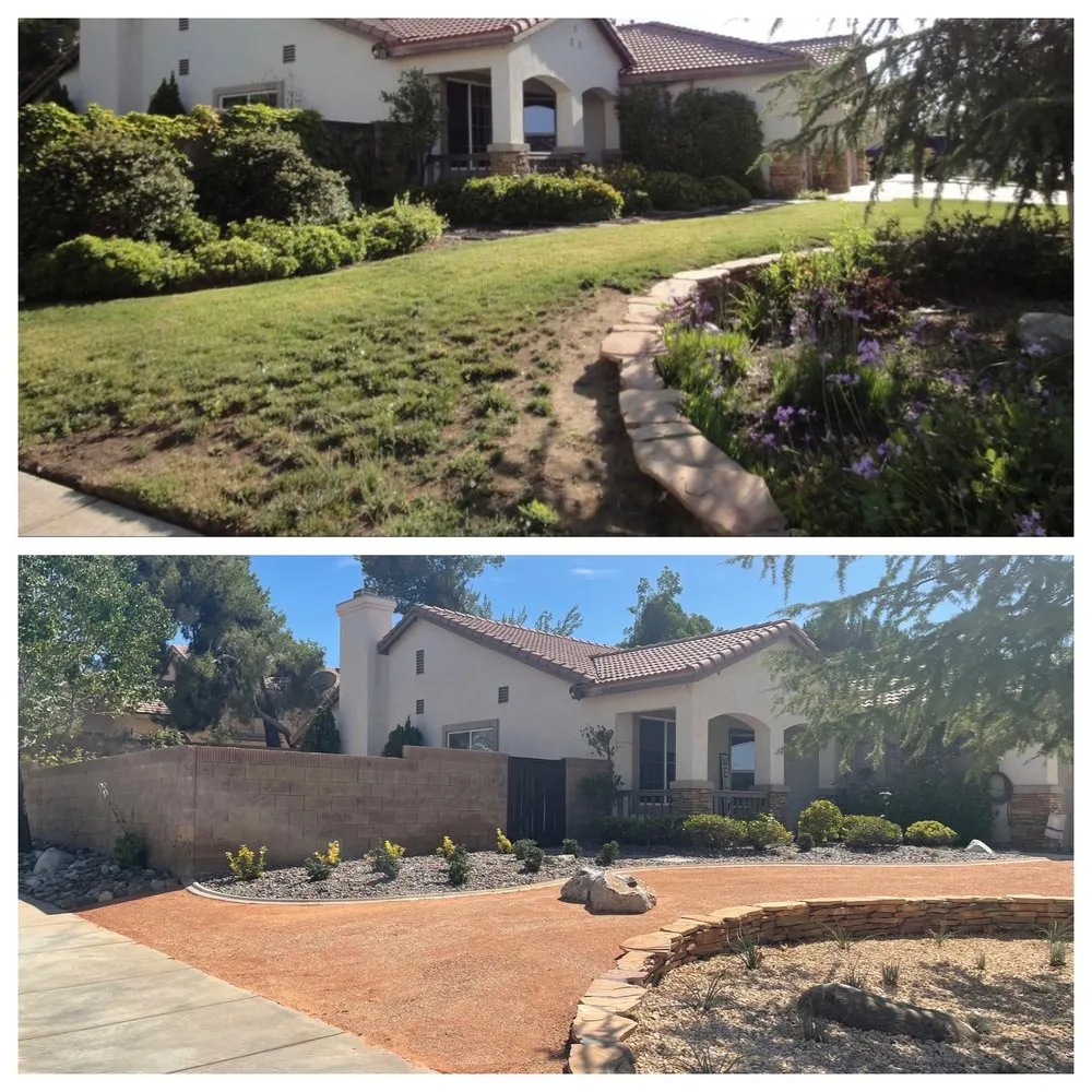 Trusted yard cleanup service experts serving Acton, CA - MPM Landscaping
