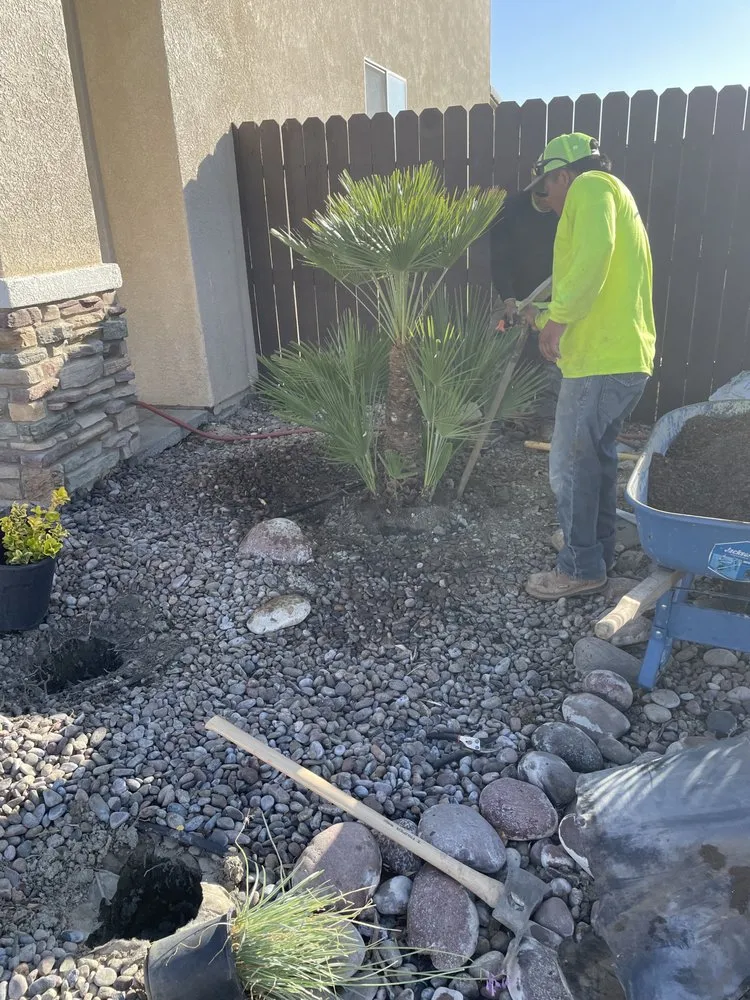 Custom landscape design for year-round maintenance across Acton, CA - MPM Landscaping