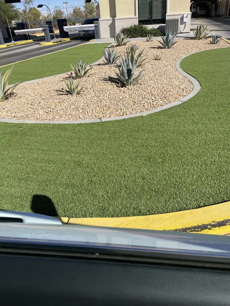 Trusted yard cleanup service in Acton, CA by MPM Landscaping