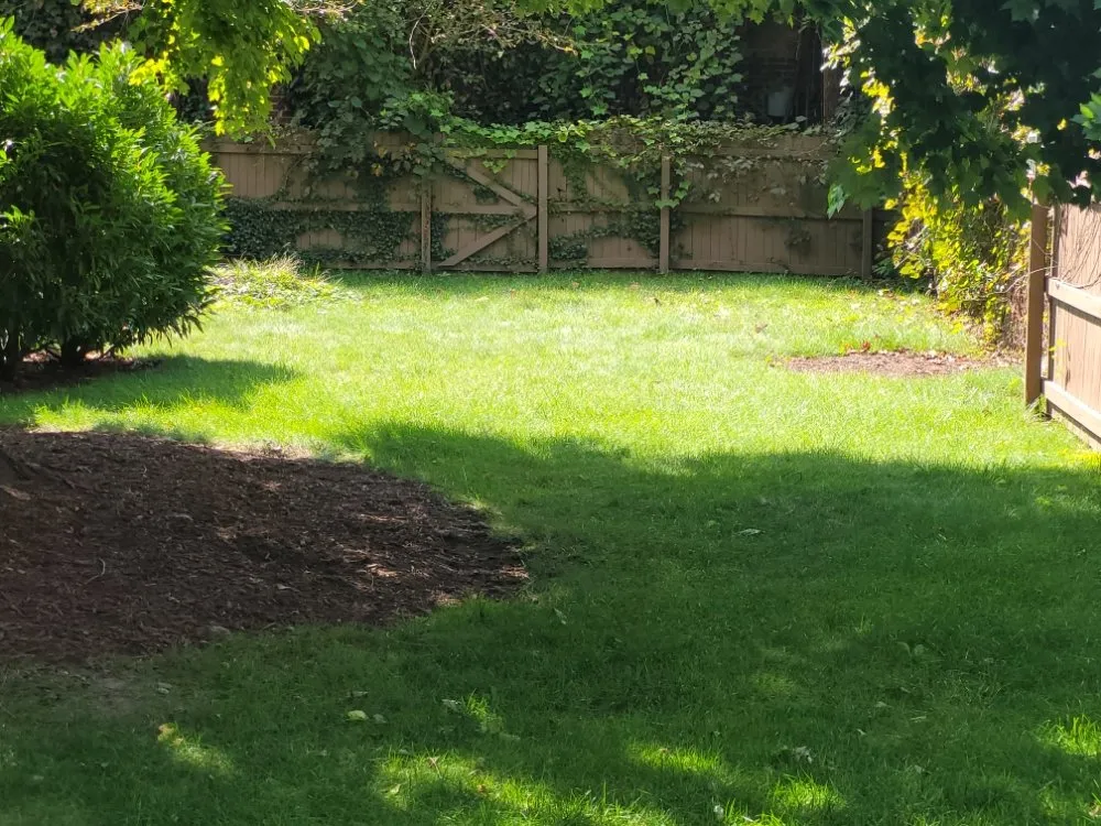 Expert yard maintenance for residential properties in McKees Rocks, PA by MPM Lawn Service